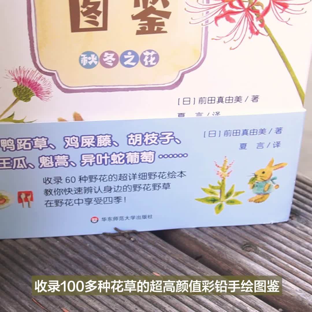 我们身边的野花图鉴春夏 秋冬2册清新彩铅手绘图鉴收录100余种身边常见的野花野草知名科普博主刘夙审校 我们身边的野花图鉴春夏 秋冬2册清新彩铅手绘图鉴收录100余种身边常见的野花野草知名科普博主刘夙审校